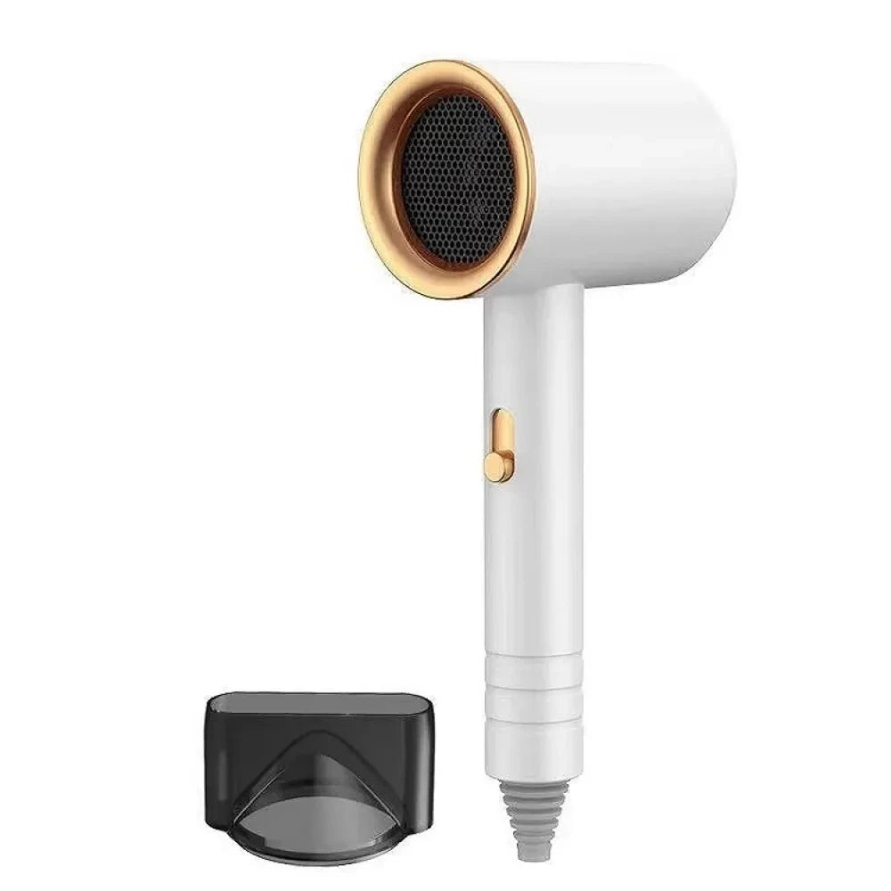 Ionic Salon Hair Dryer