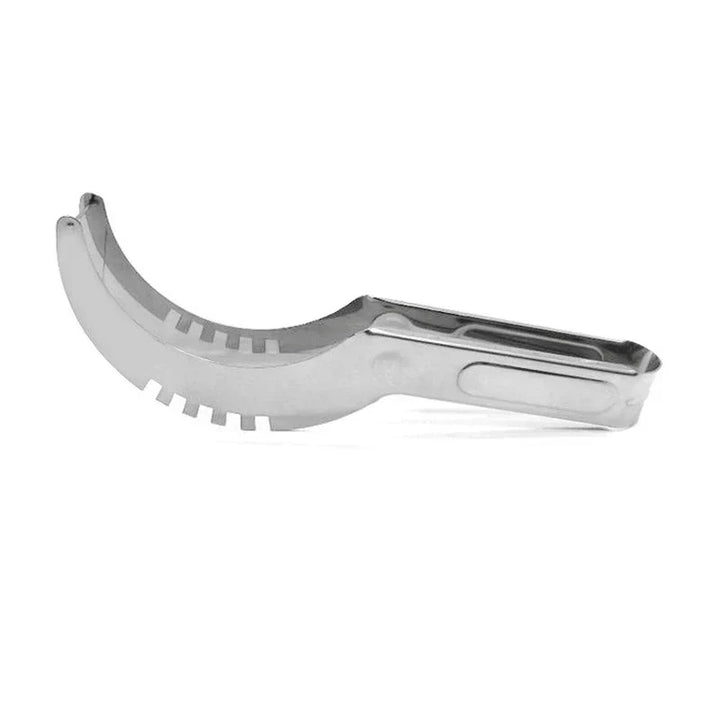 Stainless Steel Watermelon